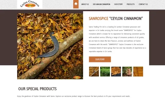 Sanro Cinnamon Desktop Preview